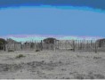 /album/fotogaleria-campos-viedma/dibujo8-jpg/