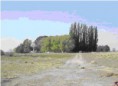 /album/fotogaleria-campo-18-000has/dibujo-jpg1/