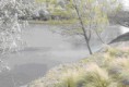 /album/fotogaleria-campo-18-000has/dibujo6-jpg1/