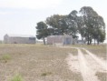/album/fotogaleria-campo-18-000has/a2-jpg4/