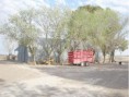 /album/fotogaleria-campo-18-000has/a1-jpg5/