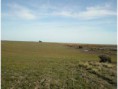 /album/fotogaleria-campo-1237has/a4-jpg5/