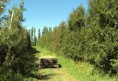 /album/fotogaleria-chacra-6has/chacra5-2-jpg/