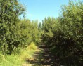 /album/fotogaleria-chacra-6has/chacra5-3-jpg/
